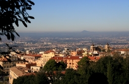 frascati